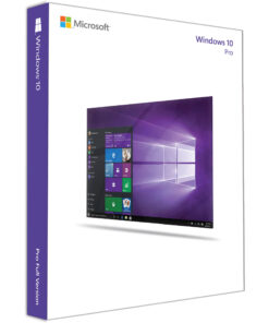 Windows 10 Professional Product Key