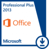 Microsoft Office Professional Plus 2013 Product Key 50 PCS
