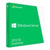 Microsoft Windows Server 2012 R2 Essentials 45 Users Product key