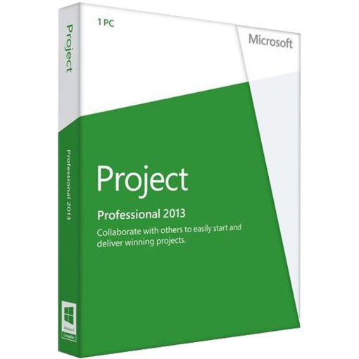 Project Professional 2013