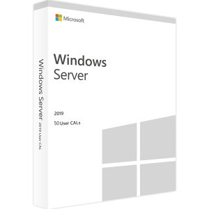 Windows Server 2019 license 50 user CALs