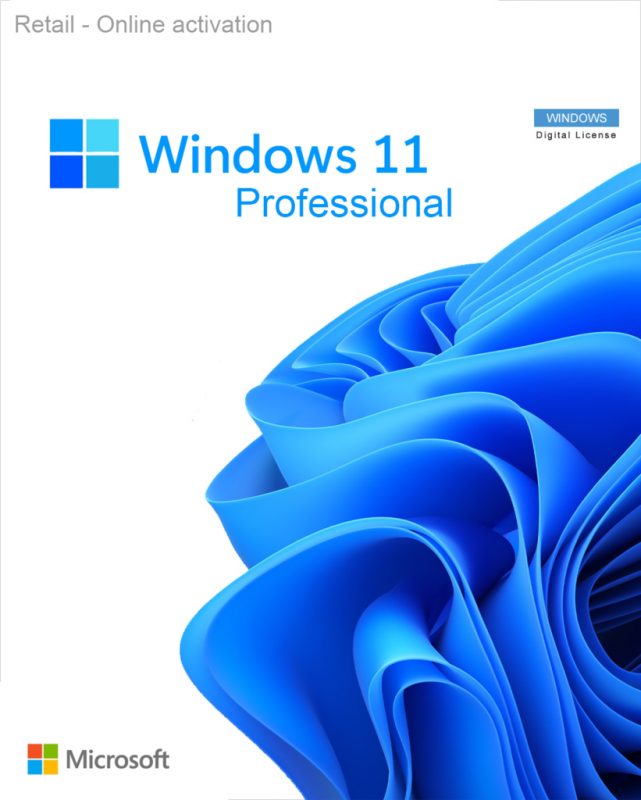Buy Windows 11 Pro at cheap price