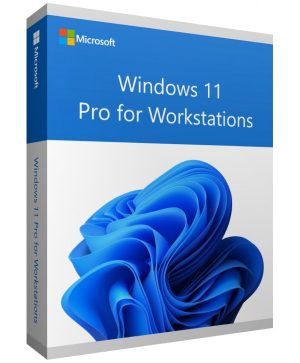 Windows 11 pro for workstations