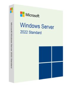 Microsoft Windows Server Standard 2022 User Cals 50