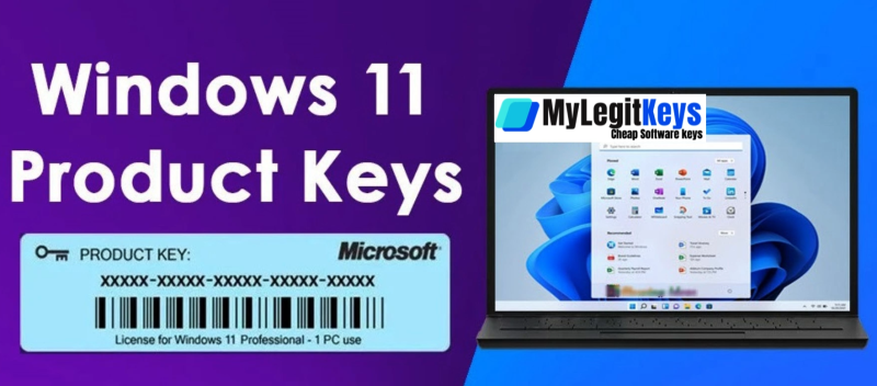 Cheap Software Keys for Windows 11
