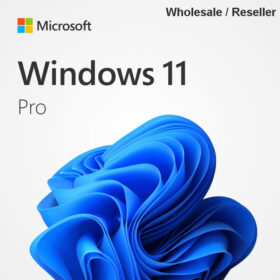 Windows 11 Pro Wholesale Retail Bulk License