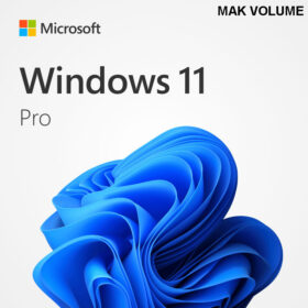 Windows 11 Pro MAK Key