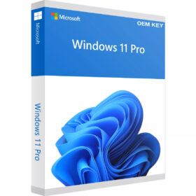 Windows 11 Professional OEM key