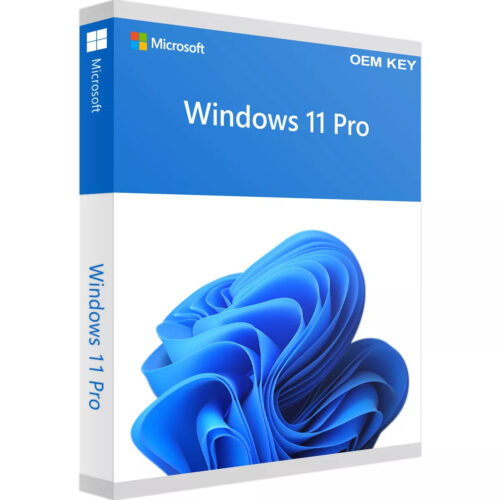 Windows 11 Professional OEM key