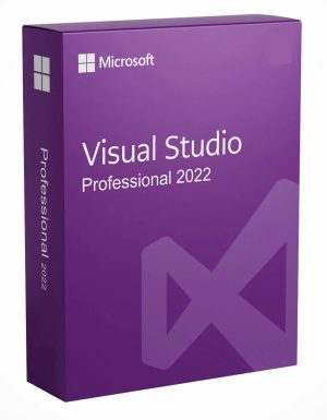 Microsoft Visual Studio 2022 Professional 2 User License Key