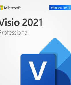 Microsoft Visio 2021 Professional 5 Users